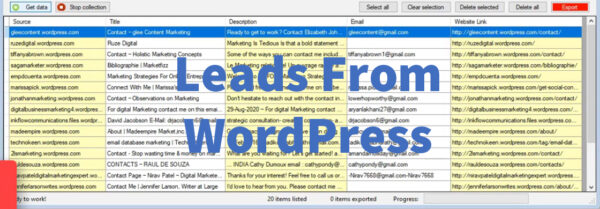 Leads From Wordpress